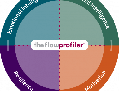 flowprofiler® | an overview