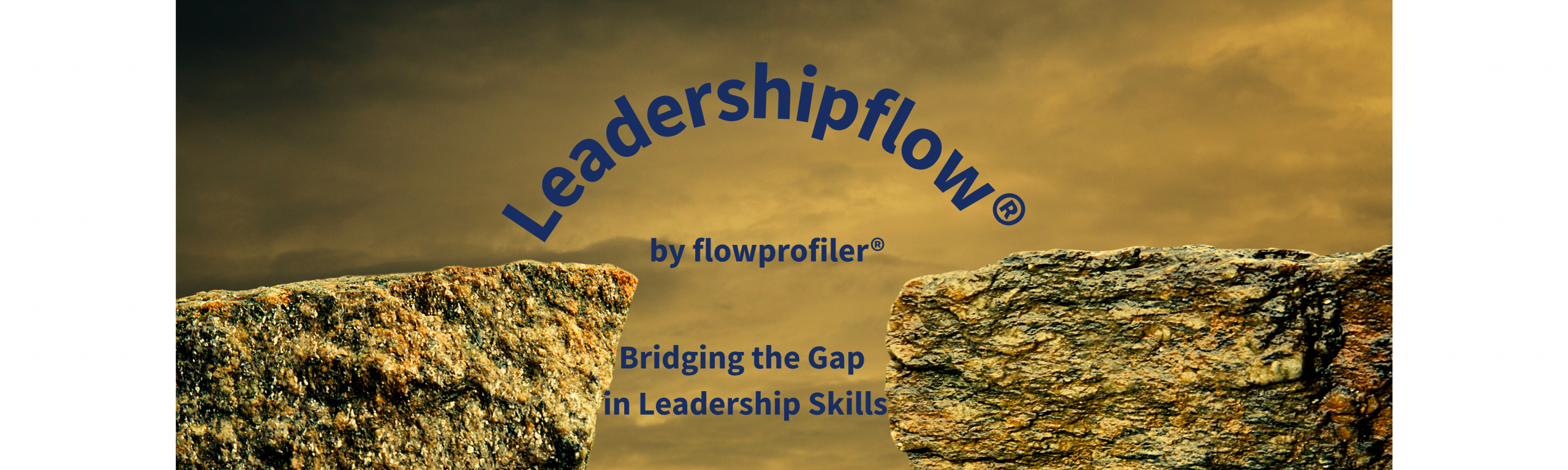 Bridging Leadership Capability Gaps - flowprofiler®