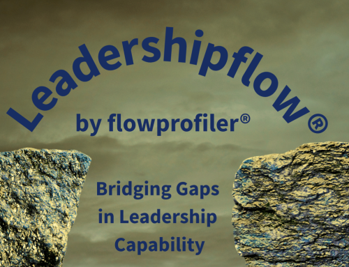 From Engagement to Execution: Leadership Behaviour is the Missing Link